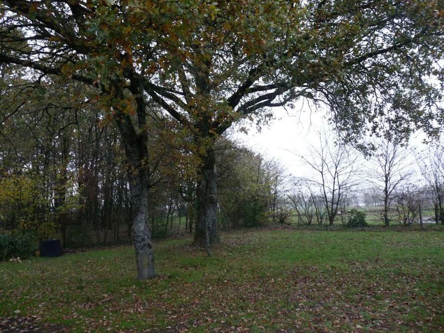 Charmante Maison En Campagne Grand-Fougeray エクステリア 写真